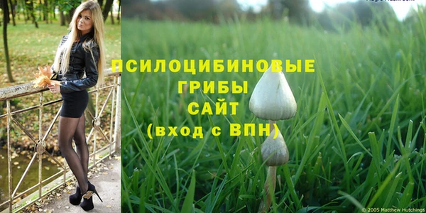 2c-b Алексин