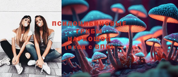 2c-b Алексин